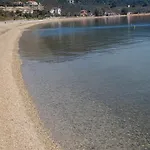 Sea Lily & Playground