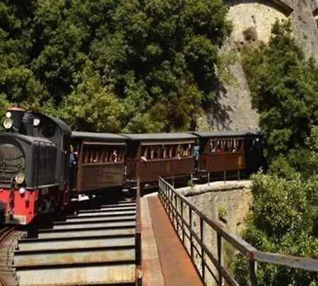 Sea Lily & Playground *