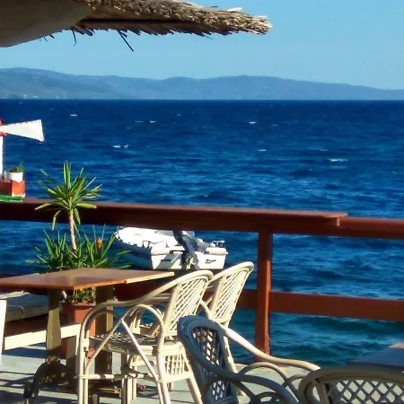 Sea Lily & Playground * Platanidia