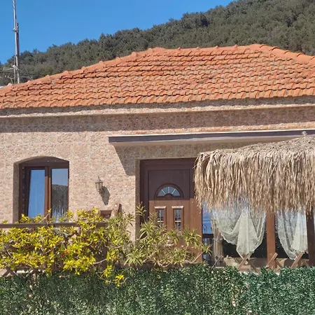 Sea Lily & Playground Villa *