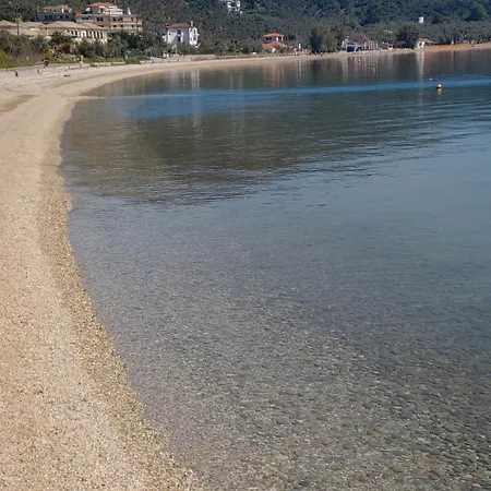 Sea Lily & Playground