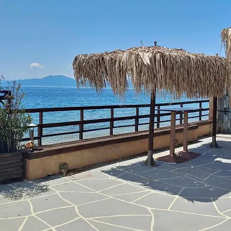 Sea Lily & Playground *