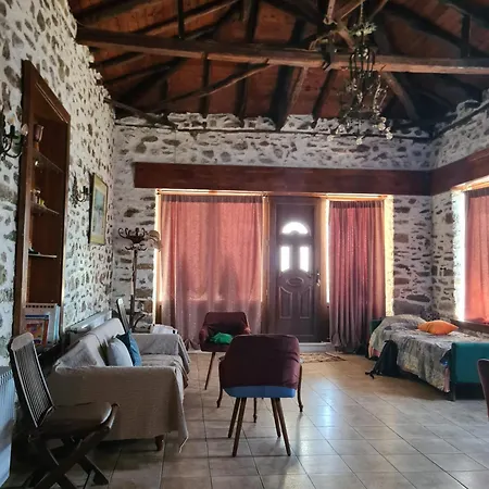 Sea Lily & Playground Platanidia