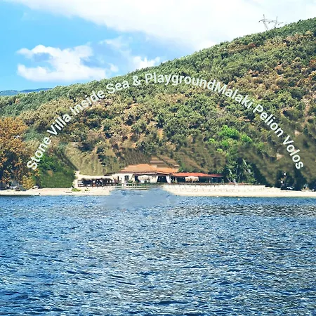 Sea Lily & Playground * Platanidia