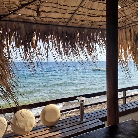 ヴィラ Sea Lily & Playground Platanidia