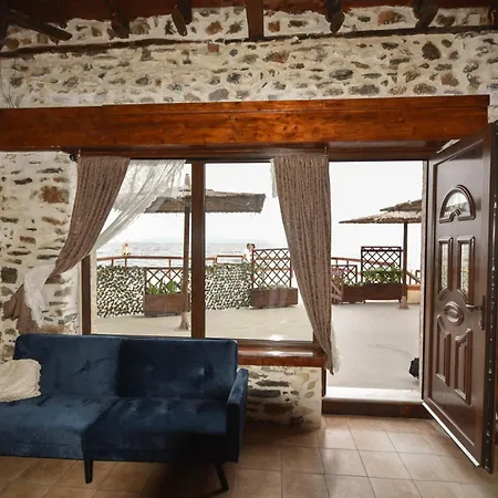 Sea Lily & Playground *