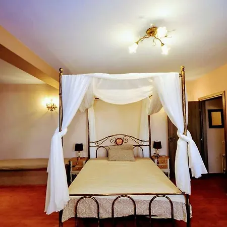 Sea Lily & Playground * Platanidia