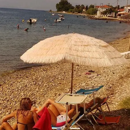 Stone Inside Sea- Kids'land *
