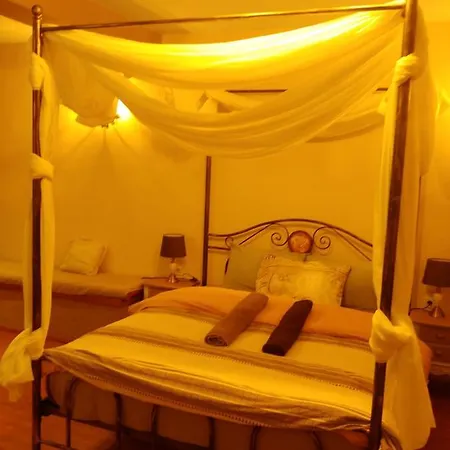 Sea Lily & Playground *