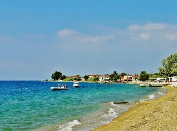 Vilă Sea Lily & Playground