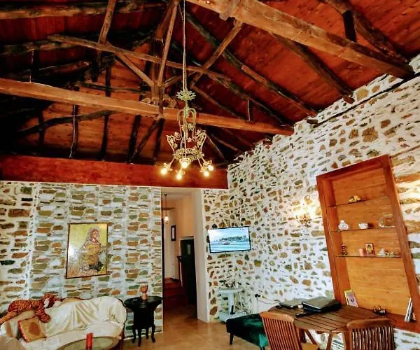 Sea Lily & Playground Platanidia