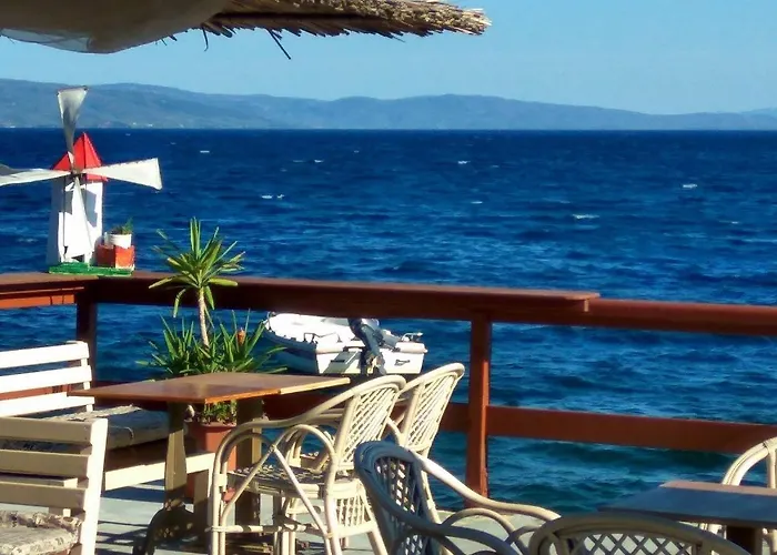 Sea Lily & Playground * Platanidia