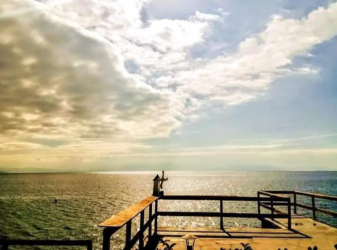 Sea Lily & Playground Platanidia