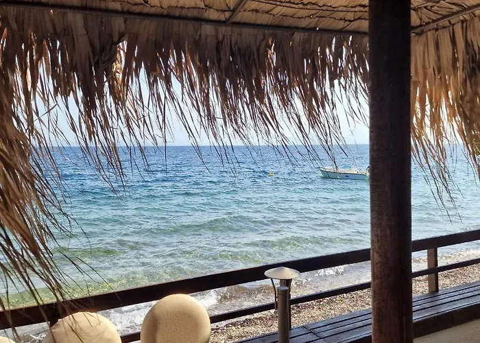 Vilă Sea Lily & Playground