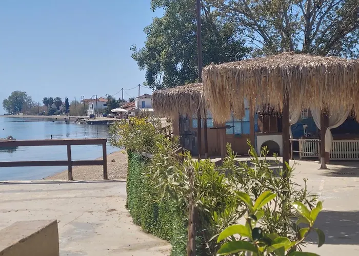 Sea Lily & Playground *