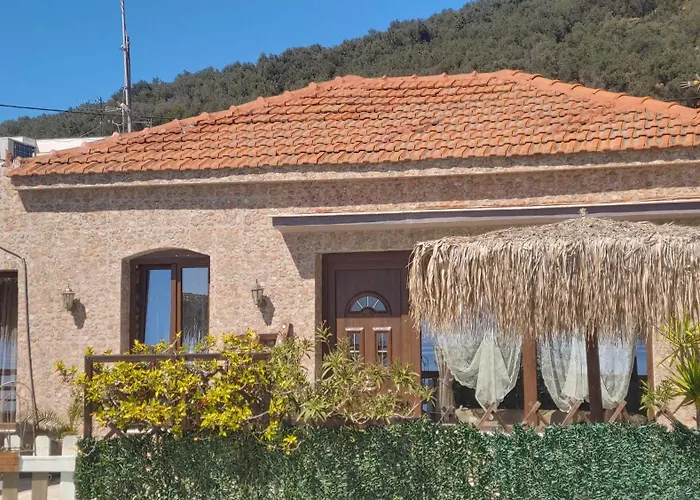 Sea Lily & Playground Villa *