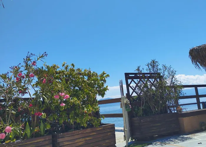 Sea Lily & Playground Villa