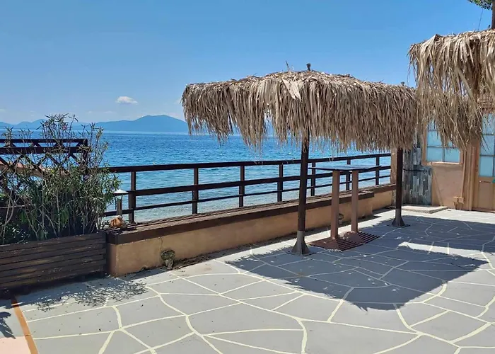 Sea Lily & Playground *