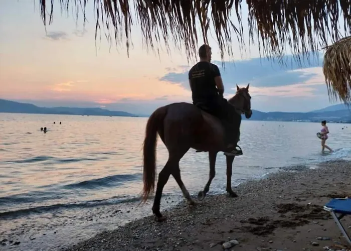 Vilă Sea Lily & Playground *