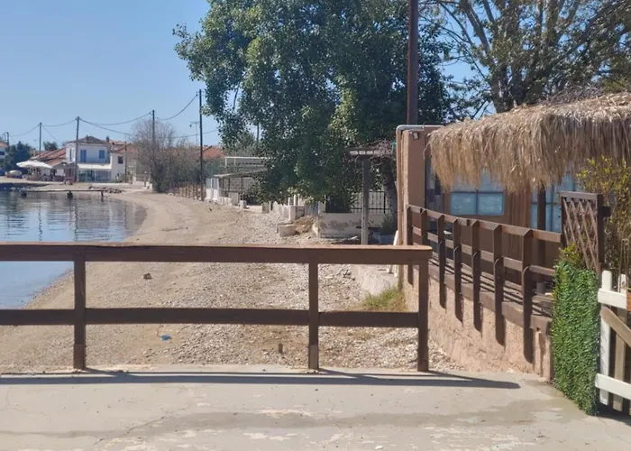 Sea Lily & Playground Vilă