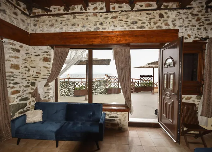 Sea Lily & Playground *