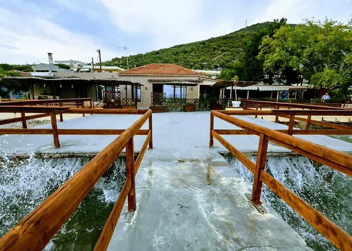 Sea Lily & Playground Platanidia