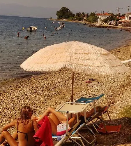 Sea Lily & Playground *