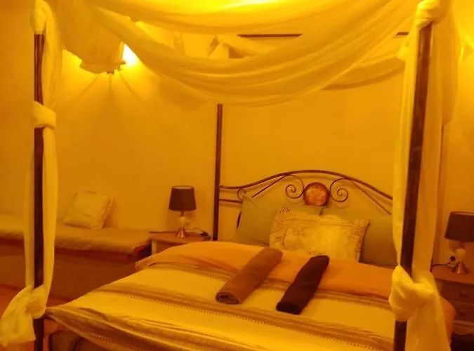 Sea Lily & Playground *